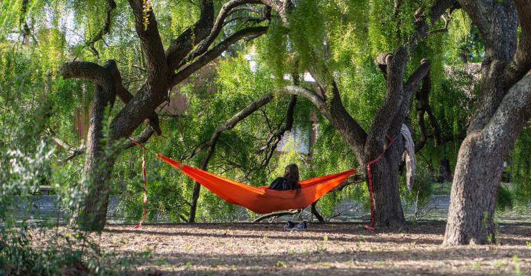 Student sitting in a hammock at the Lakes