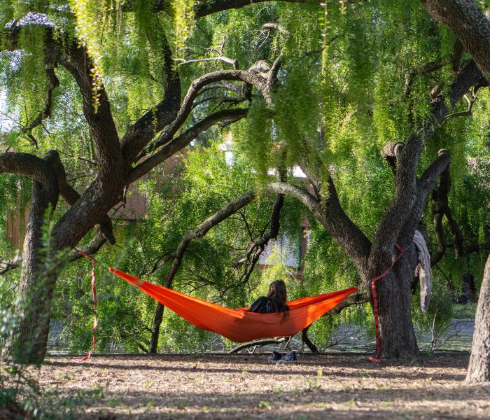 Student sitting in a hammock at the Lakes